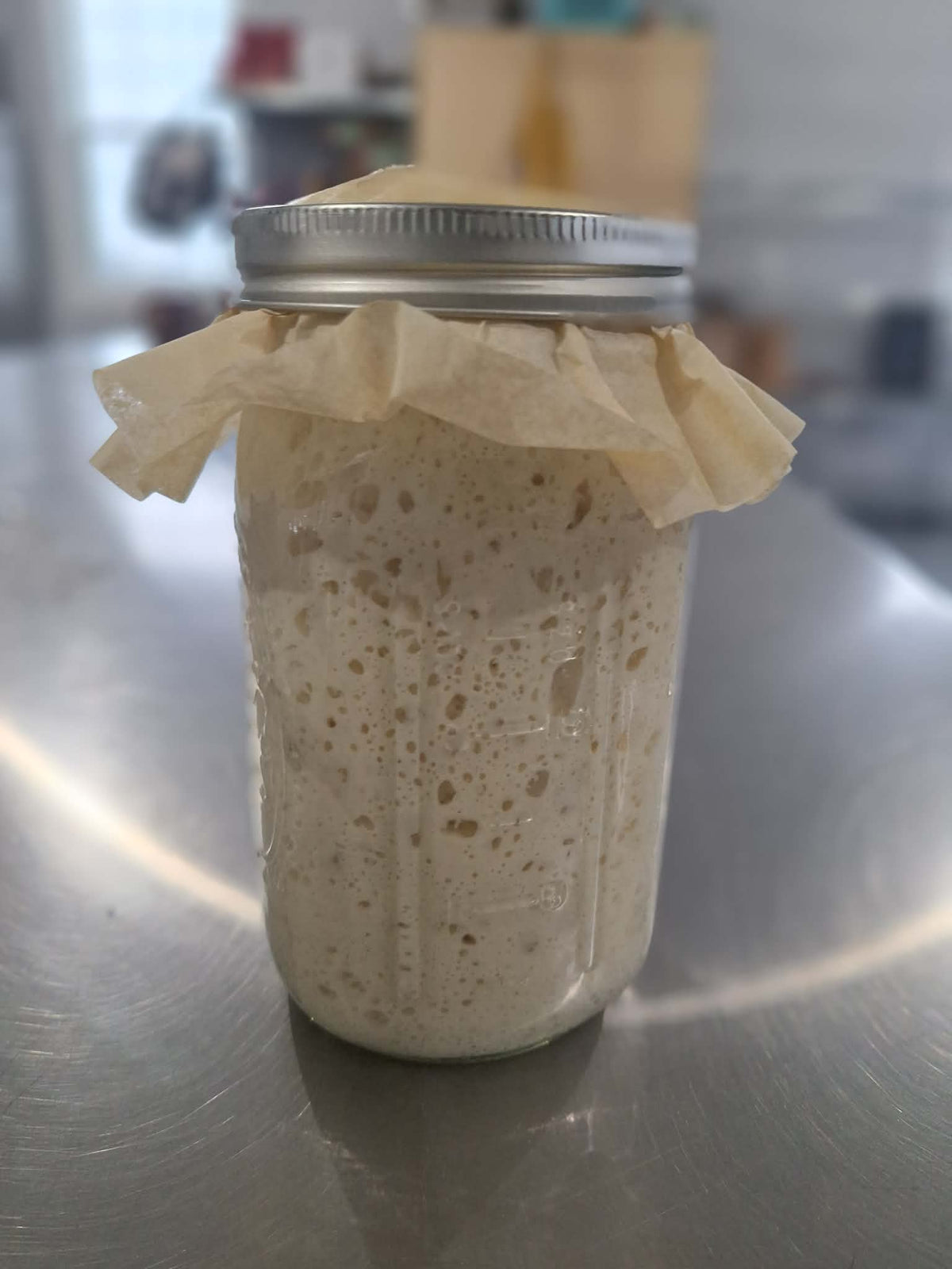 Active Sourdough Starter